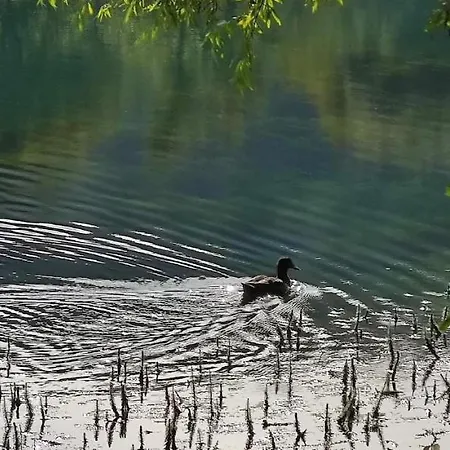 House Legacy * Bihać